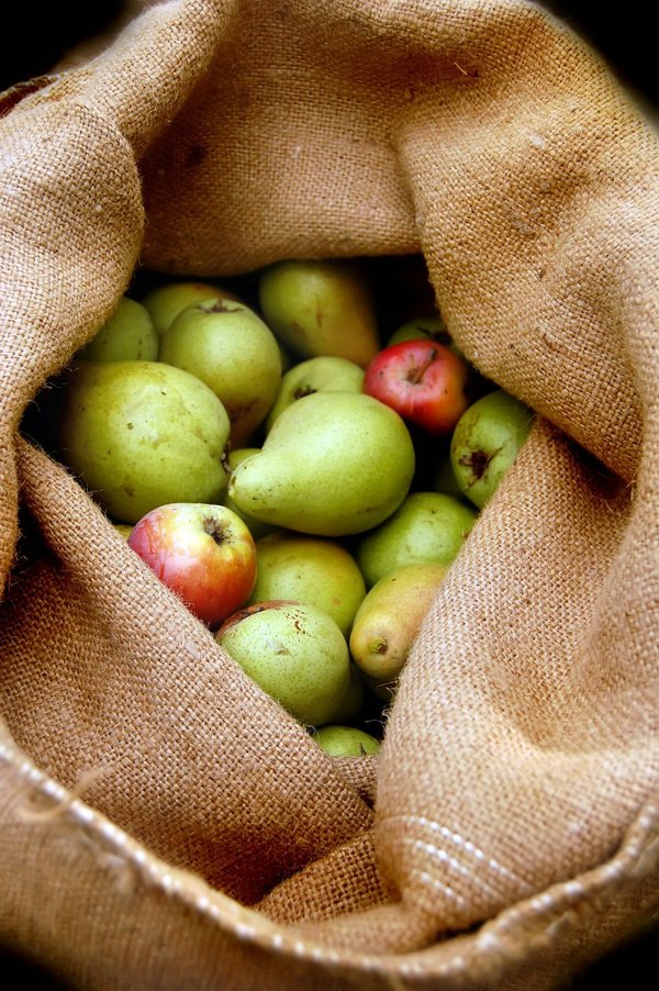 Peut-on réaliser des desserts à base de pois chiches sans sucre pour une collation protéinée?